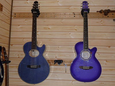 アコギ Gypsy Rose おしゃれでかわいいギター