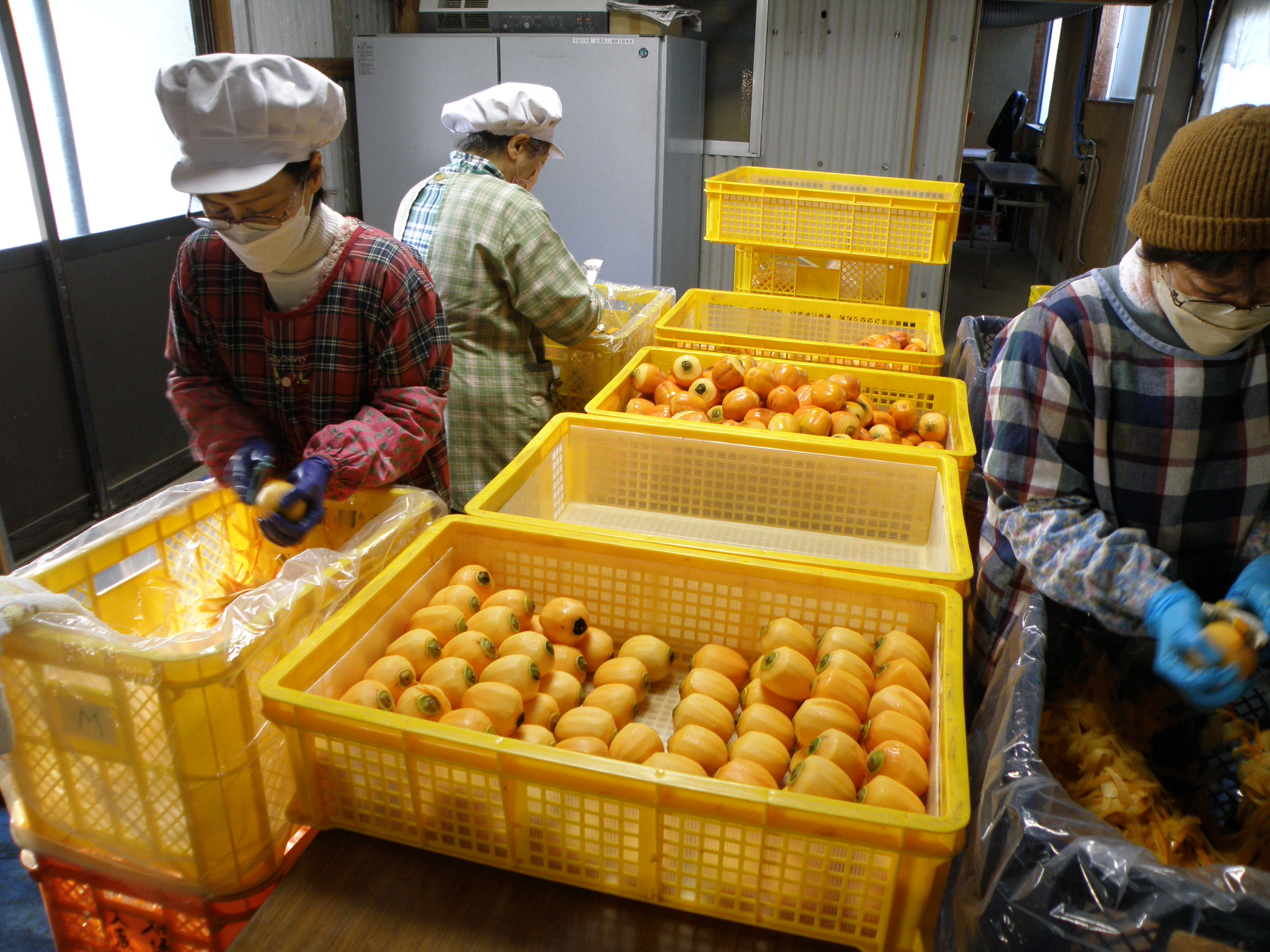 干し柿（箱入り） - 益田興産株式会社