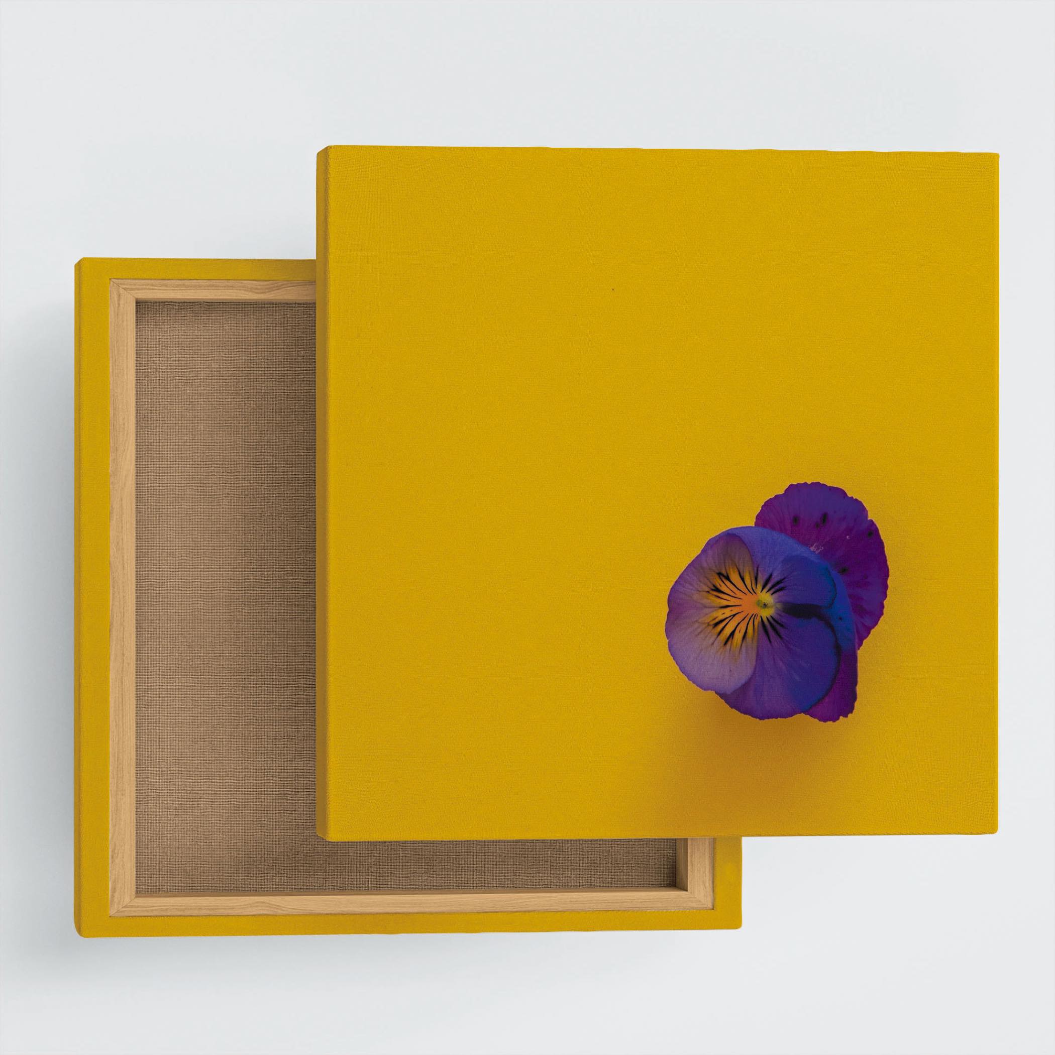 phot-2205-04.jpg?crop=center&