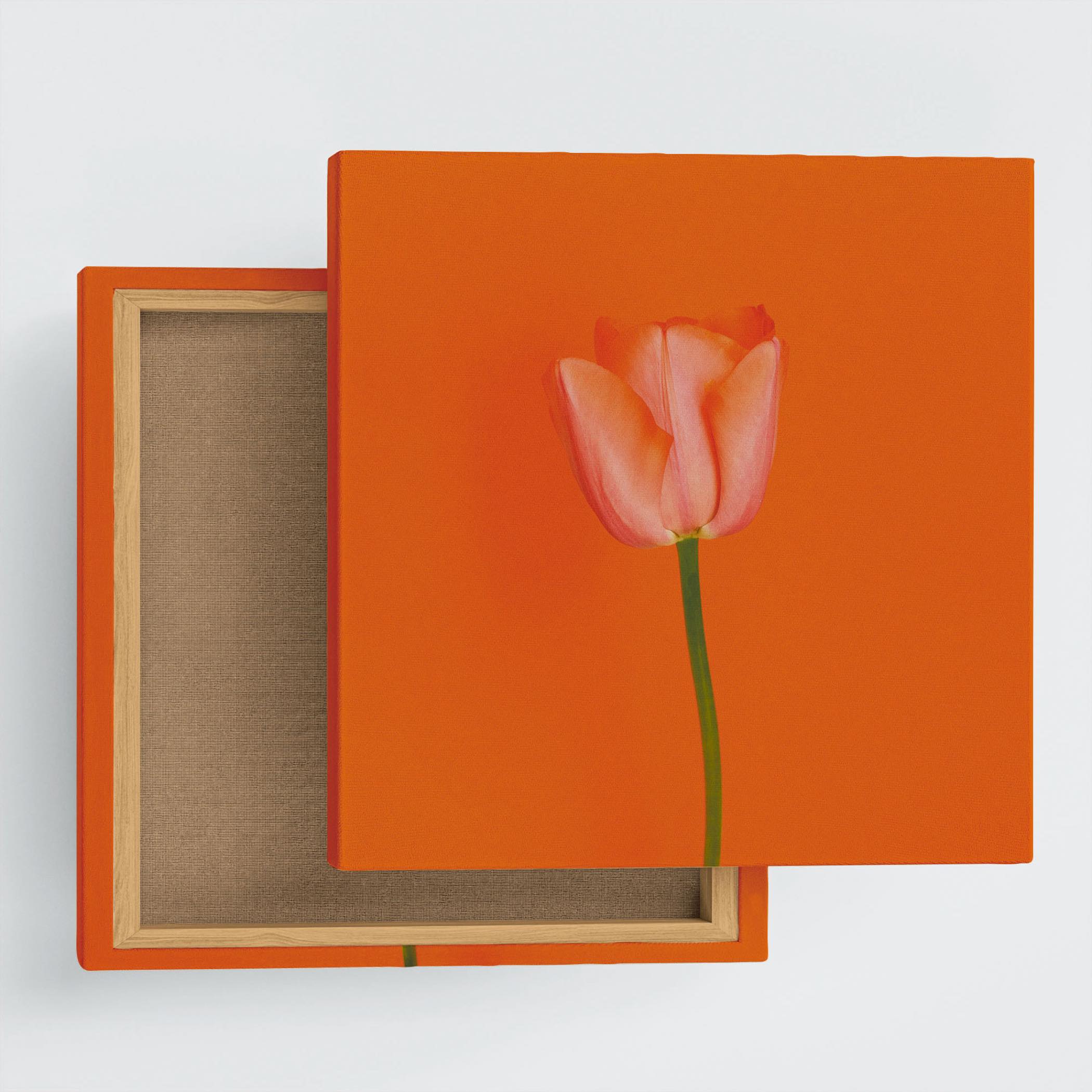 花のアートパネル インテリア雑貨 アートパネル キャンバス オレンジ