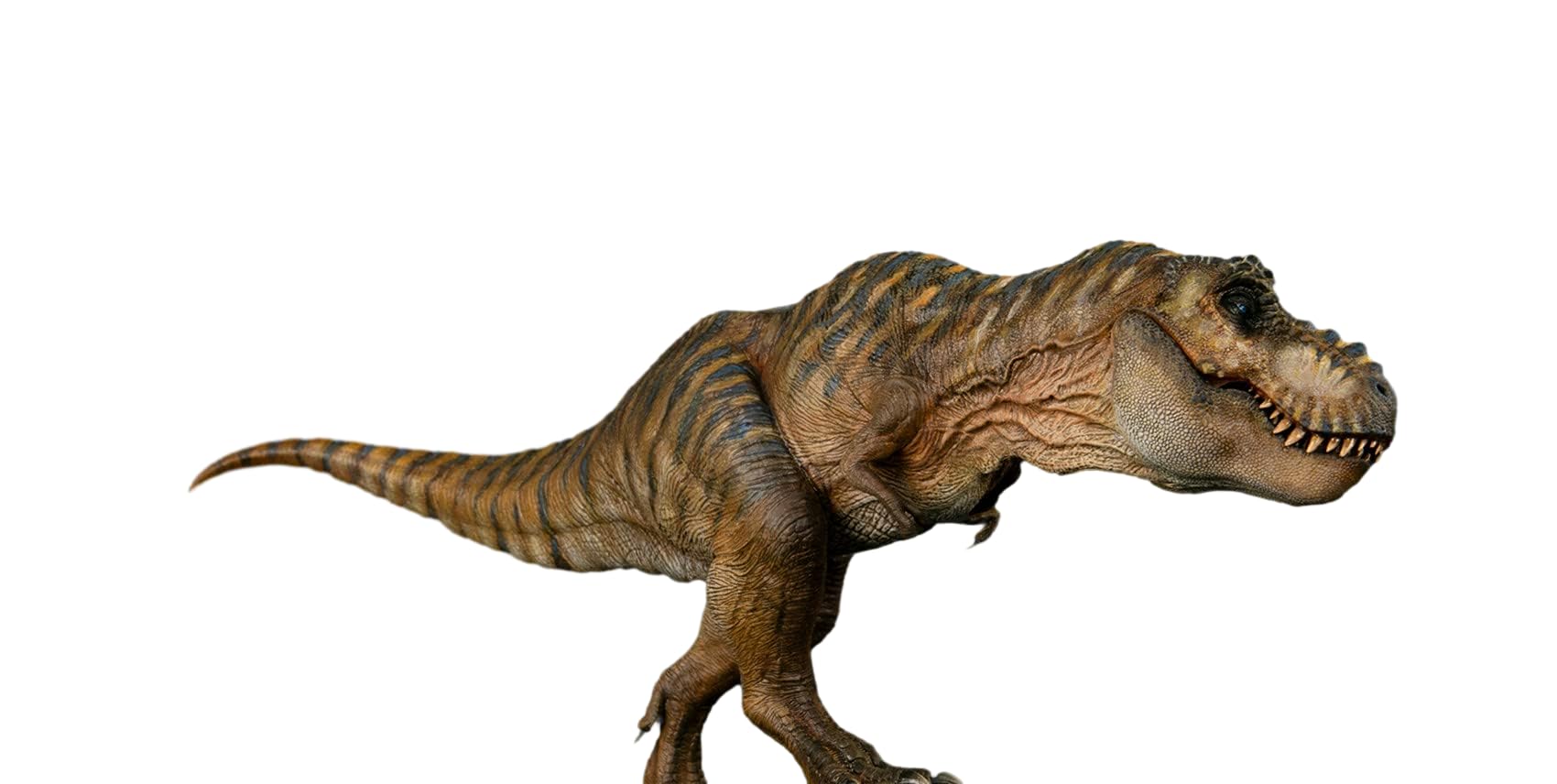 Nanmu 本心楠改 1/35 サイズ ティラノサウルス 恐竜 リアル フィギュア