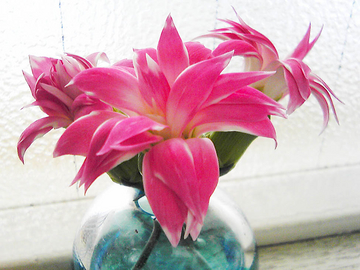 モールドで作るランプ （3） :: 「みきBLOG」 ステンドグラス工房の一