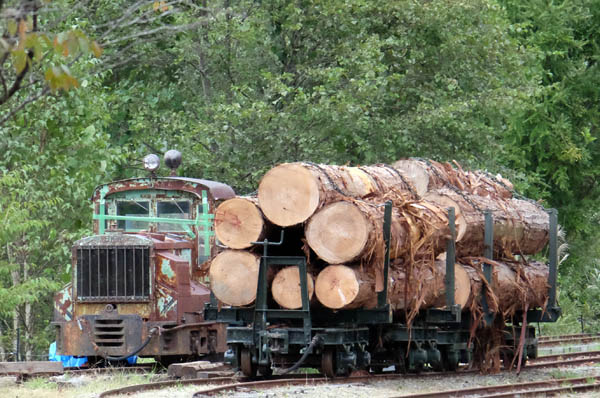 王滝森林鉄道林鉄フェスティバル2023その5
