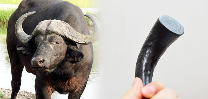 愛犬用 デンタルおもちゃ お米から作ったデンタルチュー Sサイズ