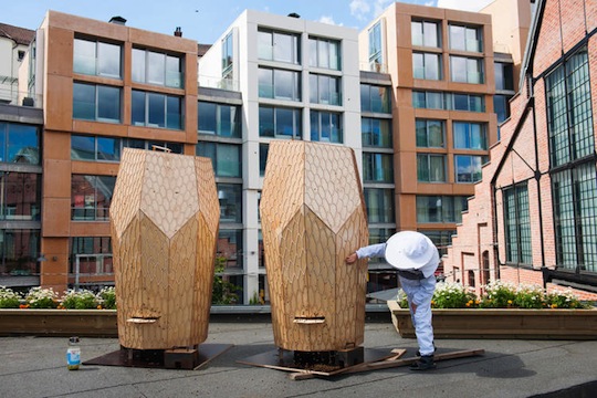 都会の中心に巨大ミツバチの巣が登場！ノルウェー発、建築家集団が