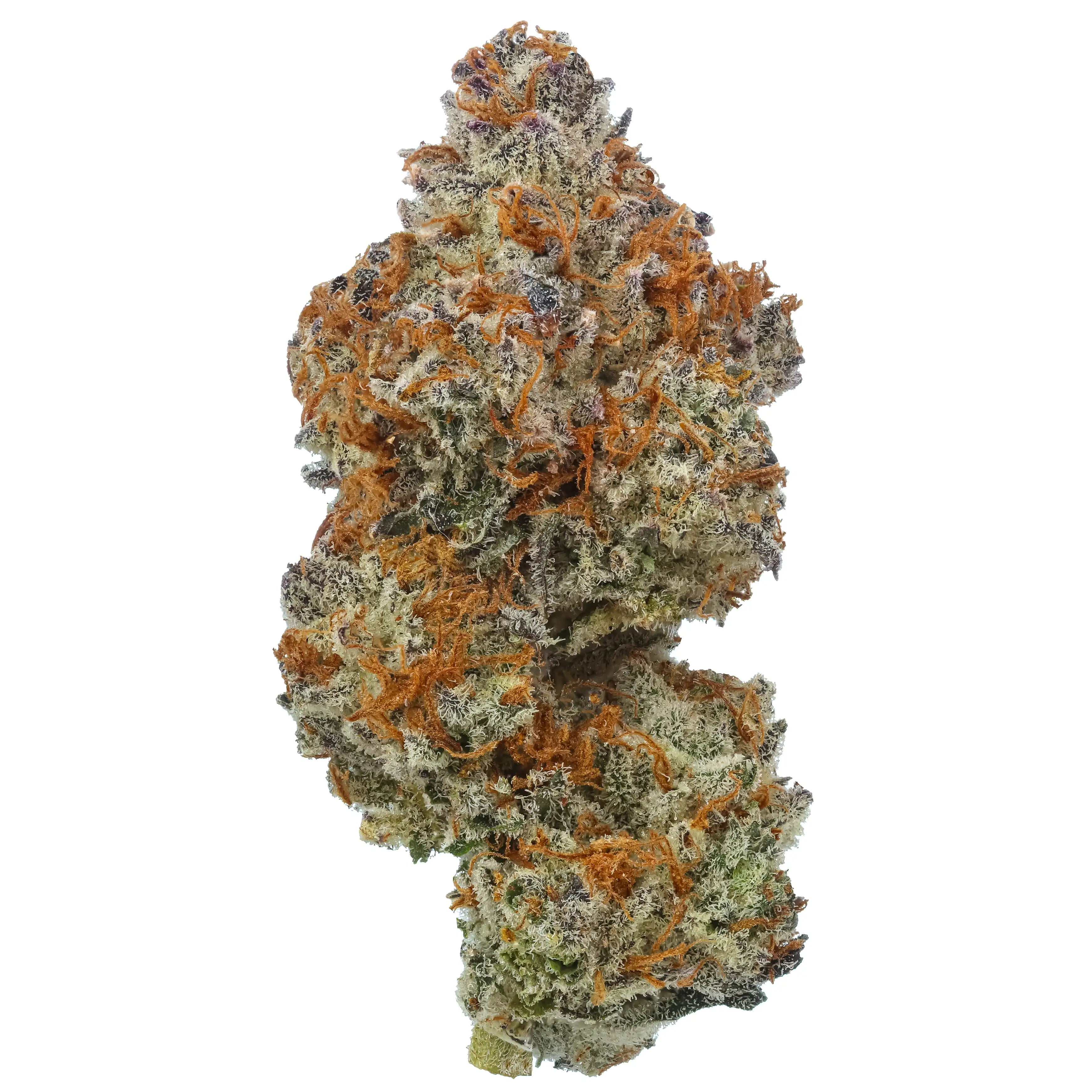 Shop Gelato Bremix THCa Flower (Triploid) Strain Online | Hemp Hop