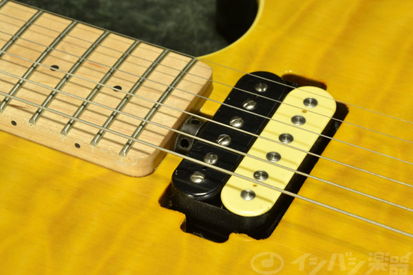 Sterling by MUSIC MAN S.U.B. AX3 – GuitarQuest イシバシ楽器が送る