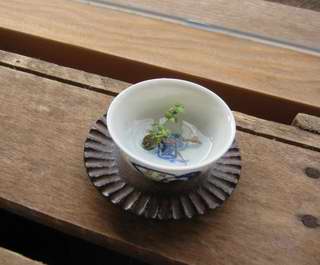 小澤基晴 器 | カ ウ リ のショップ情報