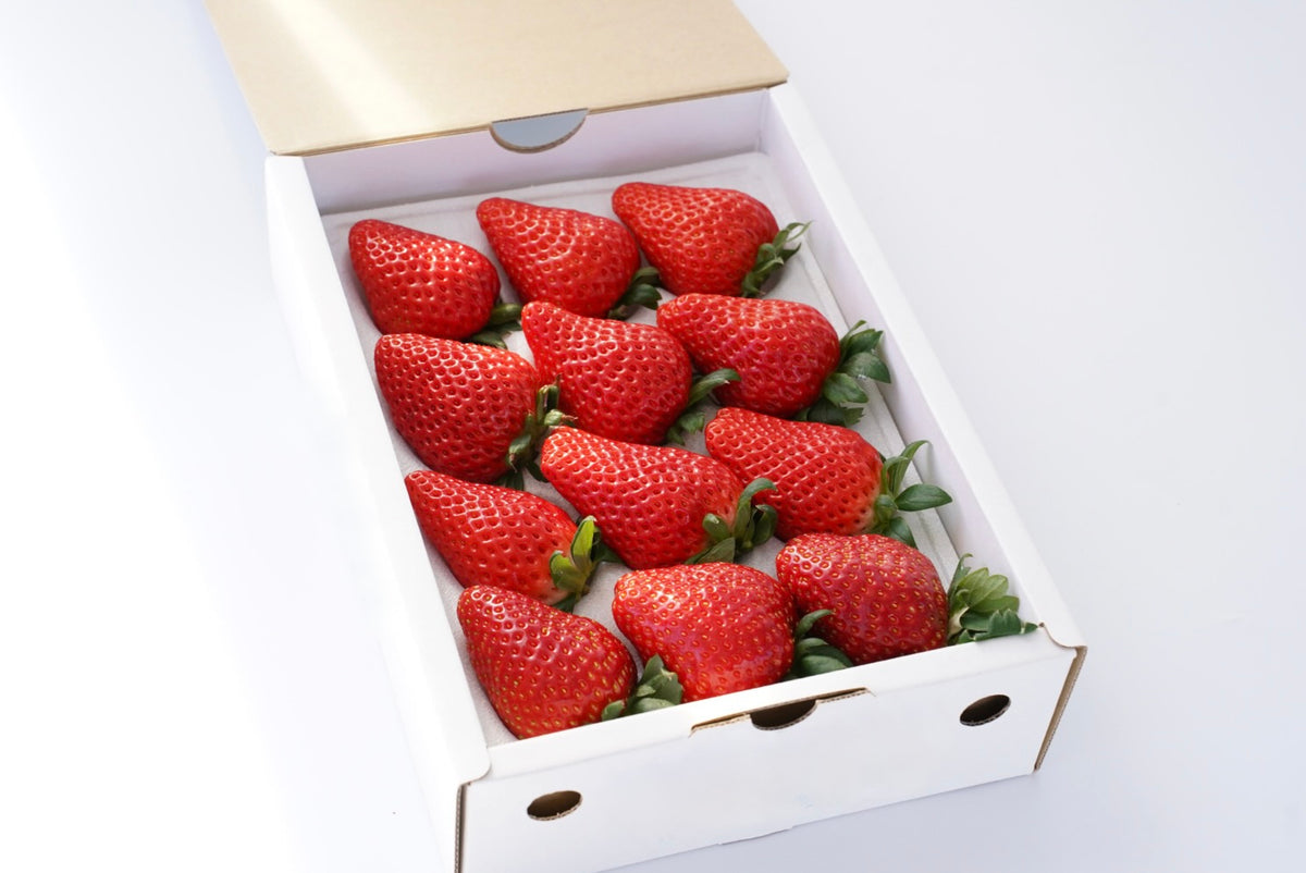 現在出荷中】いちご館くぼたの完熟いちご 8~15粒入り贈答用 – Inakakara
