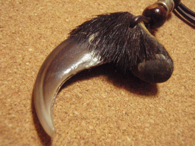 貴重！熊爪ネックレス！本物・ヒグマの爪・牙・魔よけ