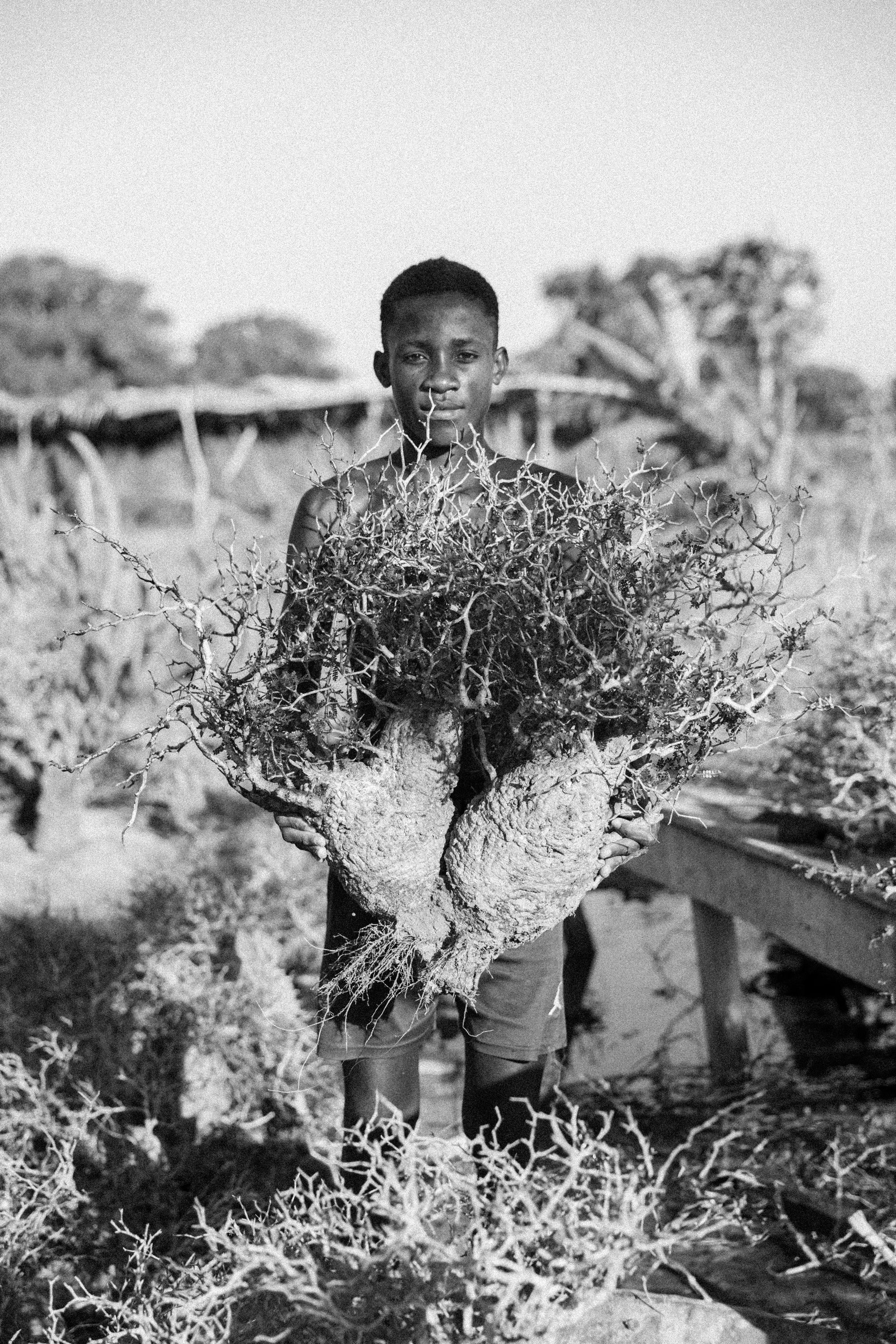 ポスター – KOMO