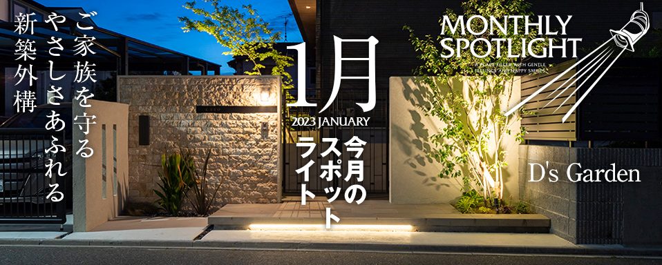 2024-12-Lighting Meister