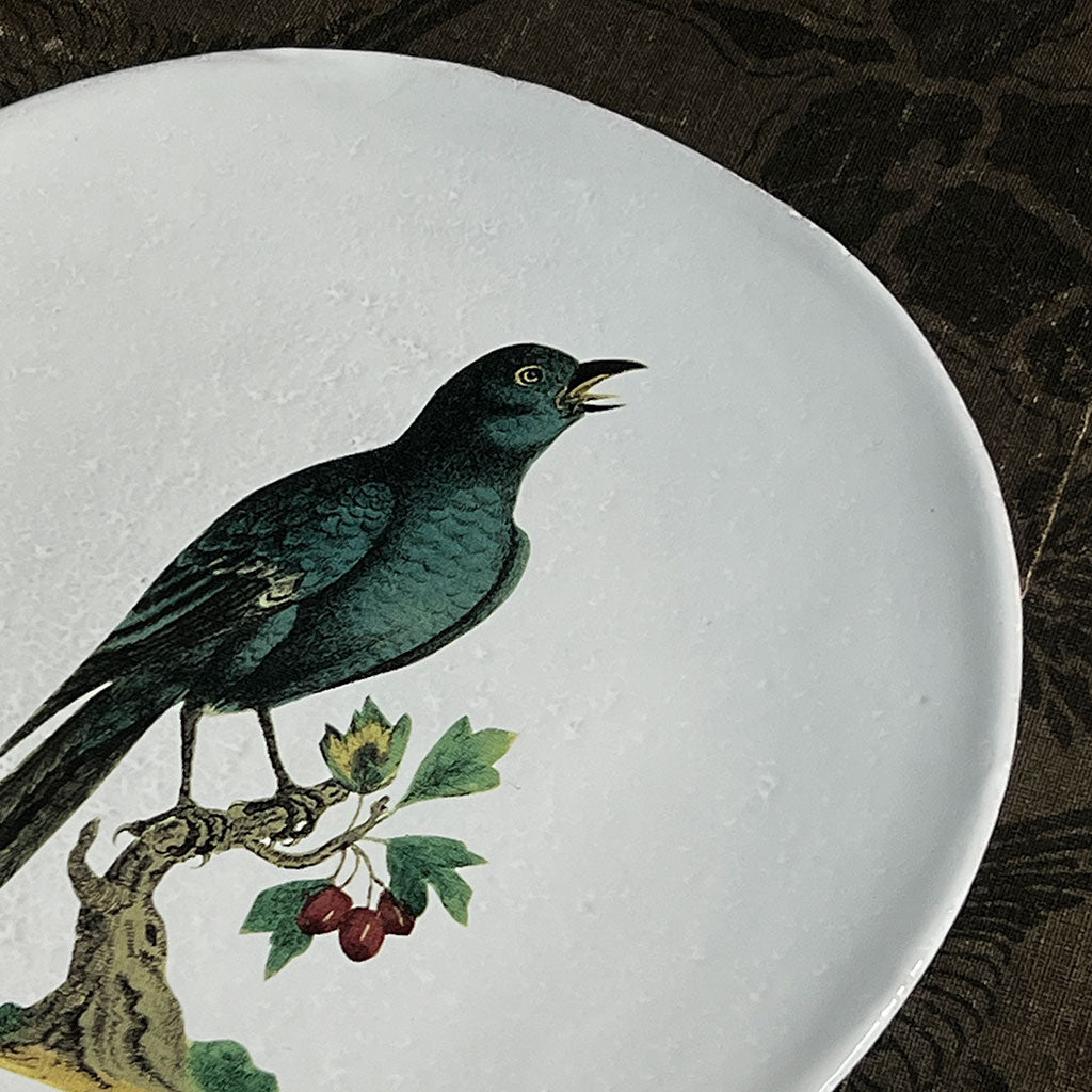 Astier de Villatte x John Derian Blue Sparrow Plate – PATCH NYC