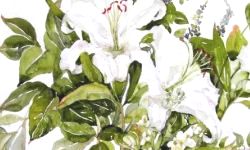 水彩画の描き方～花はじめ、作品例