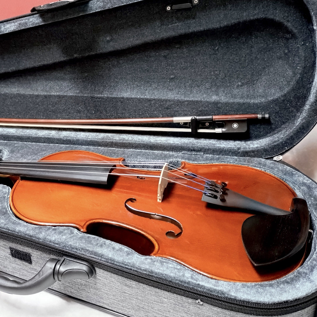 ENA Viola Set No.10A