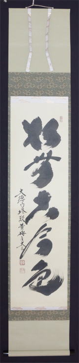 茶掛 一行書 松無古今色 小林太玄大徳寺黄梅院【茶道具からき】京都