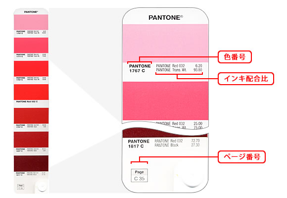 PANTONE PLUS フォーミュラガイド／2冊組（1677色） & - G&E