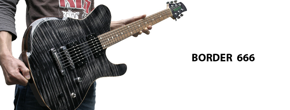 HARRY'S ENGINEERING / dragonfly custom guitars