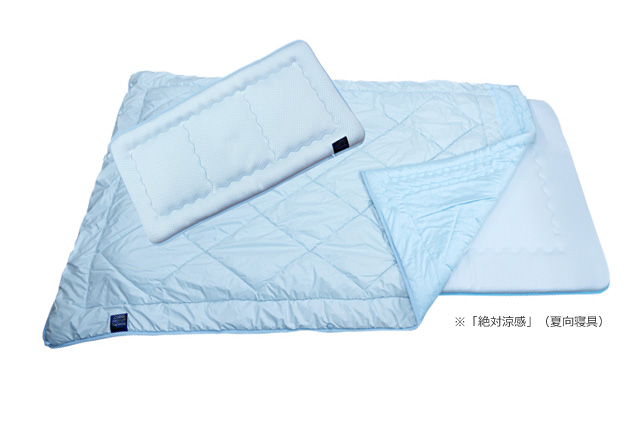 株式会社 アイアイ｜事業紹介｜プラチナウェーブのご紹介