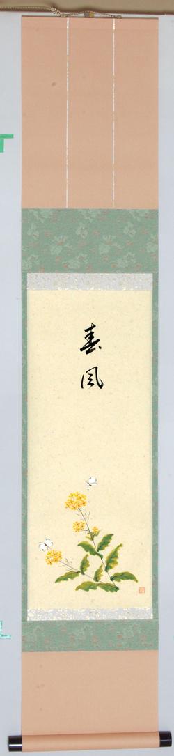 軸一行小間掛軸自画賛 菜の花に蝶の図「春風」【販売】-茶道具は京都