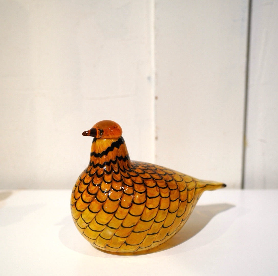 イッタラ / ittala バードシリーズ Kesäriekko サマーグロース