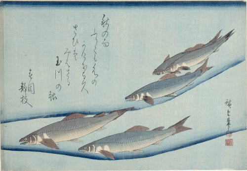 玉川の鮎（広重）