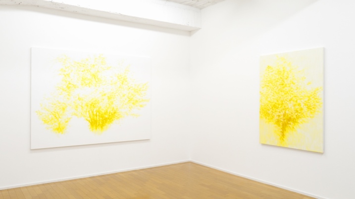 児玉靖枝 Oギャラリーeyes