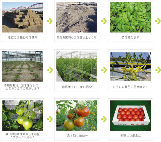 花とトマトの専門店 トマト園芸 レイクタウンそば