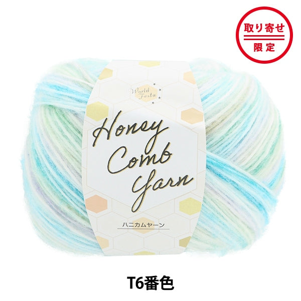 Fall/Winter Yarn World Festa Honeycomb – Color T6 – Yuzawaya