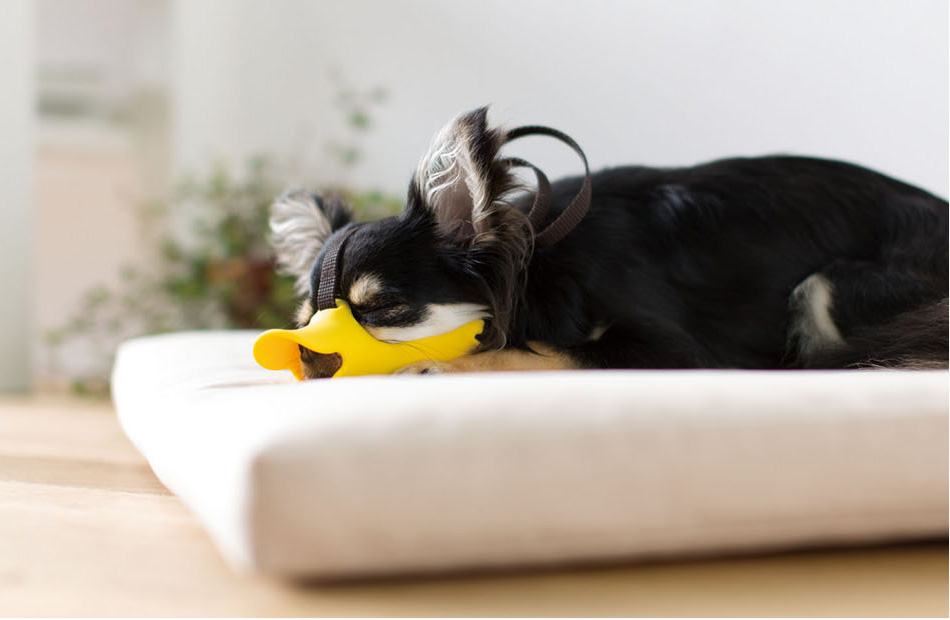 quack® size ss（クァック®サイズ ss）｜OPPO （オッポ） 犬・猫