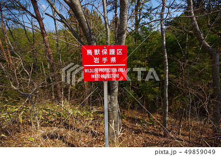 鳥獣保護区の看板の写真素材 [49859049] - PIXTA