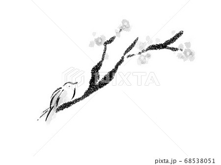 梅とうぐいすの水墨画のイラスト素材 [68538051] - PIXTA