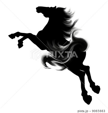 馬 イラスト シルエットのイラスト素材 [9065663] - PIXTA