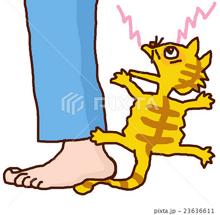 猫ふんじゃったのイラスト素材 [23636611] - PIXTA