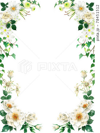 アナログ水彩白い花のデザインフレームのイラスト素材 [78451512] - PIXTA