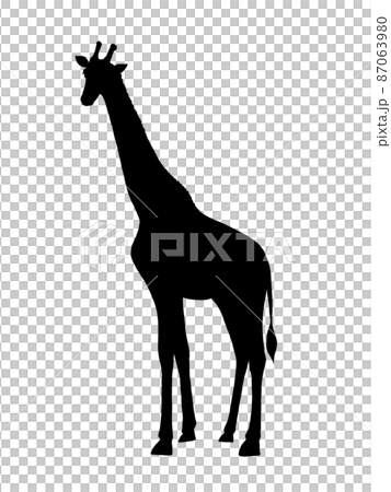 キリンのシルエットイラストのイラスト素材 [87063980] - PIXTA