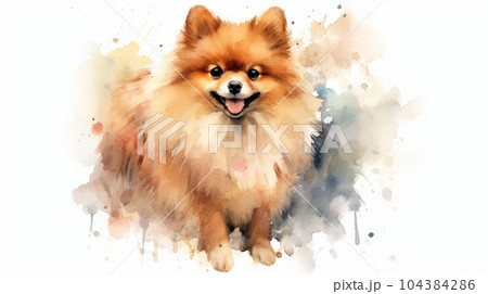 ポメラニアンの水彩画のイラスト素材 [104384286] - PIXTA