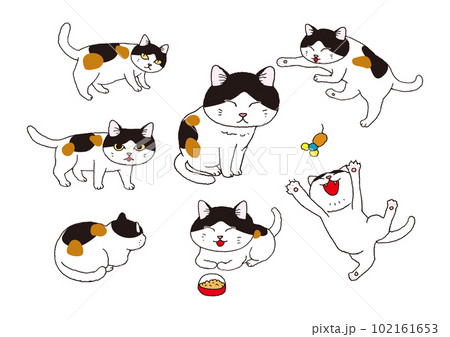 かわいいハチワレ三毛猫の手描きイラストのイラスト素材 [102161653