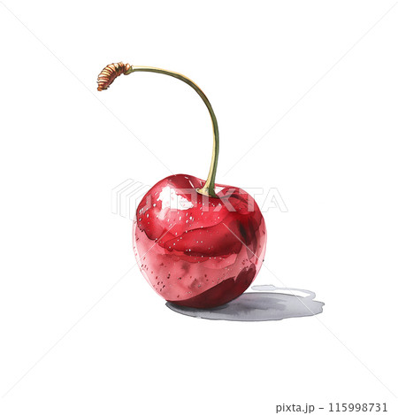 白背景にアメリカンチェリーの水彩イラストのイラスト素材 [115998731