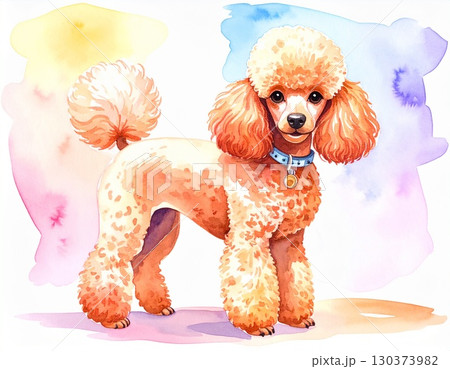 トイプードルの水彩画のイラスト素材 [130373982] - PIXTA