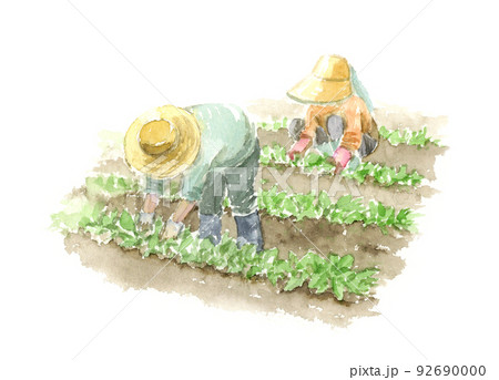 農作業風景のイラスト素材 - PIXTA