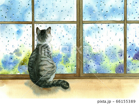 水彩画 猫 雨 窓のイラスト素材 - PIXTA