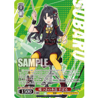 627558.png.l_thumbnail.jpg?renewal