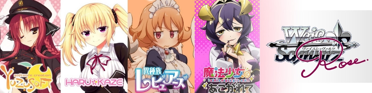 Card Album](USED) [単品] バインダー 「モンスター・コレクション2