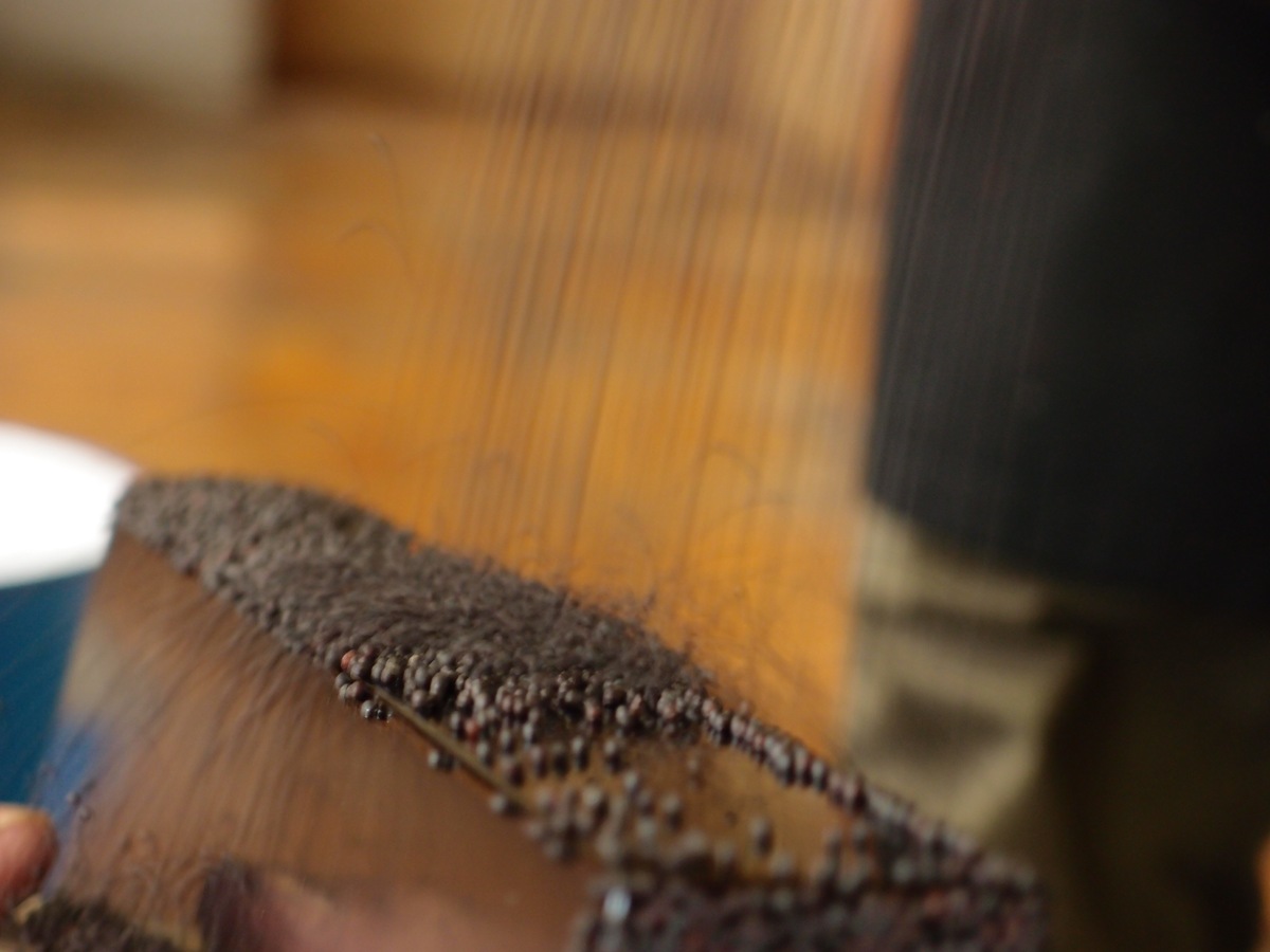 七々子塗 | 津軽塗たなか オンラインストア