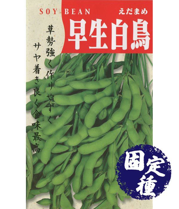 早生みどり枝豆（エダマメの種）【固定種】|固定種 在来種に強い 野菜