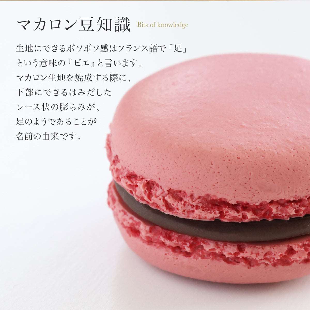 まるで本物。リアルな食品サンプル 大人のマカロン】 | 食品サンプル