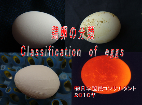 養鶏研修シリーズ（その1－1）【新】」