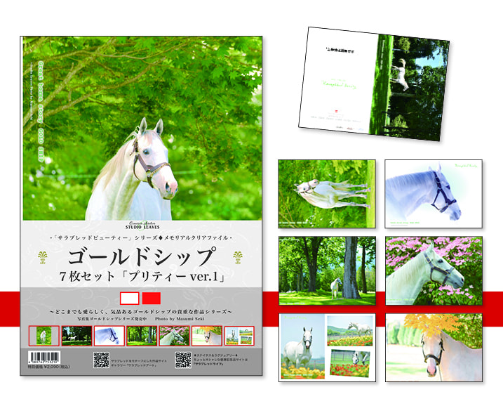 7枚組クリアファイル5種GS | サラブレッドライフ