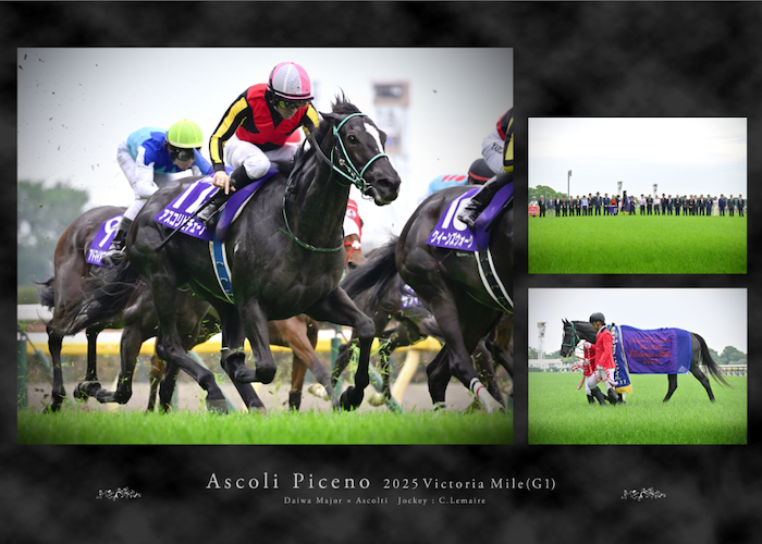 有馬記念・皐月賞優勝記念○スタイルパネル○ミュージアムマイル